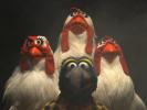 Bohemian Rhapsody as Performed by the Muppets