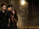 Curtis’ View From the Back Row: The Twilight Saga: New Moon