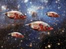 Fish in Space!